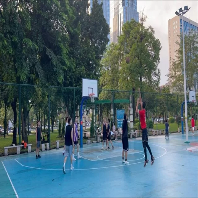 篮球季后赛走势解析：数据视角下的关键观察